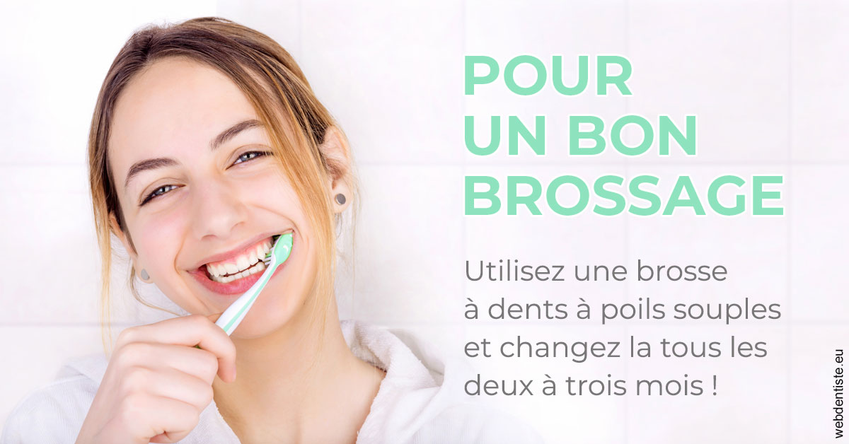 https://www.dentistes-saint-jean-centre.com/Pour un bon brossage 2