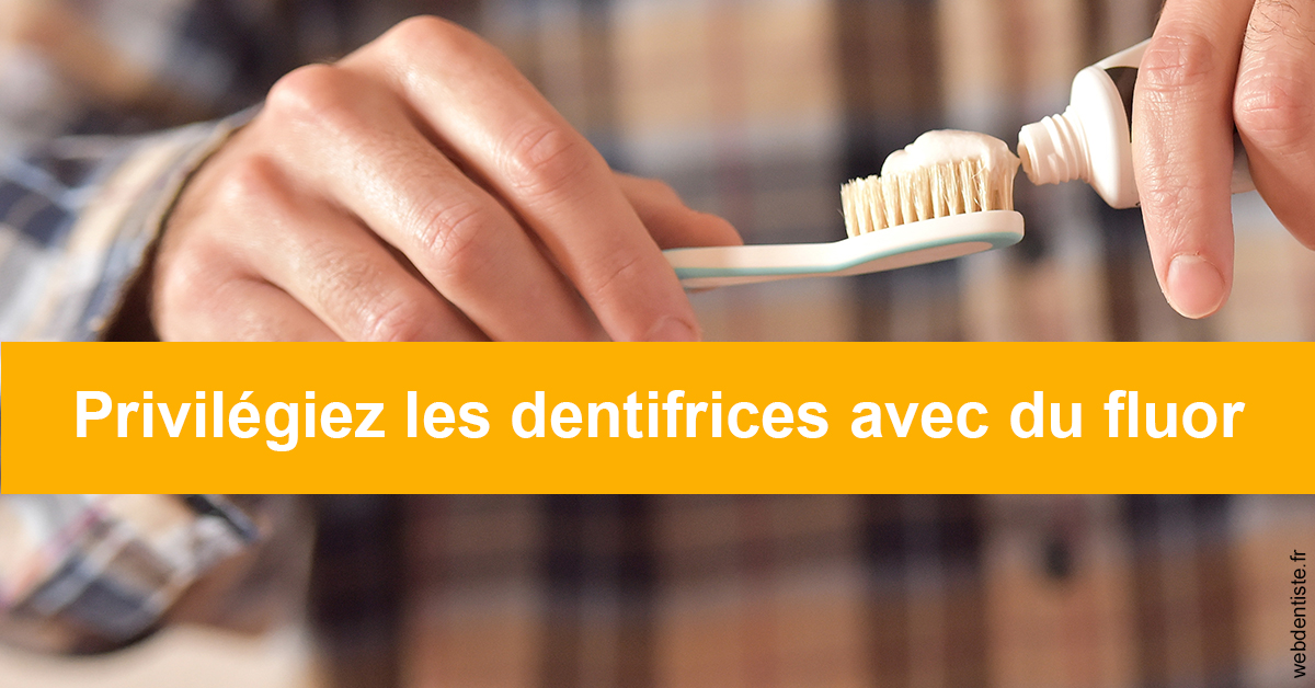 https://www.dentistes-saint-jean-centre.com/Le fluor 2