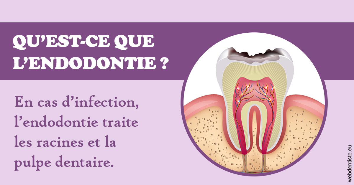 https://www.dentistes-saint-jean-centre.com/2024 T1 - Endodontie 02