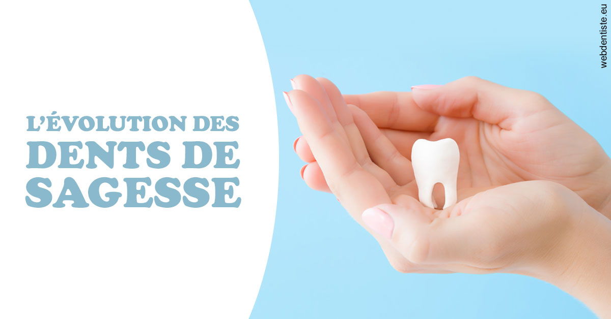 https://www.dentistes-saint-jean-centre.com/Evolution dents de sagesse 1