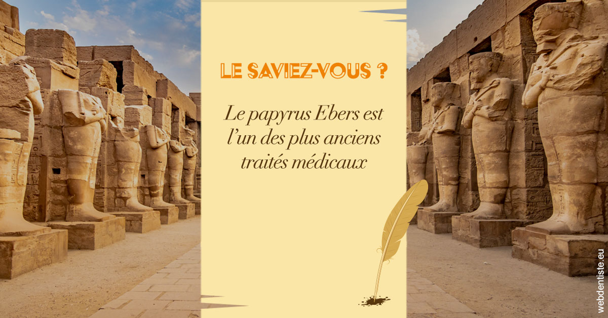 https://www.dentistes-saint-jean-centre.com/Papyrus 2