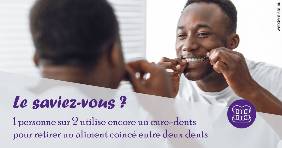 https://www.dentistes-saint-jean-centre.com/Cure-dents 2