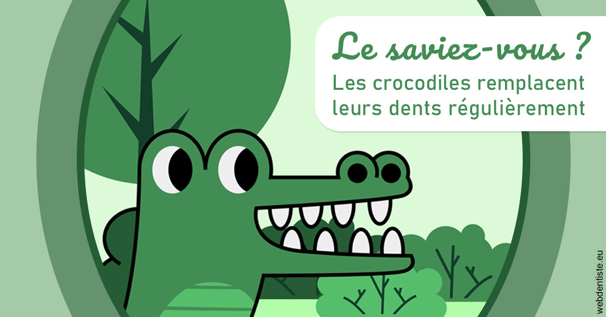 https://www.dentistes-saint-jean-centre.com/Crocodiles 2