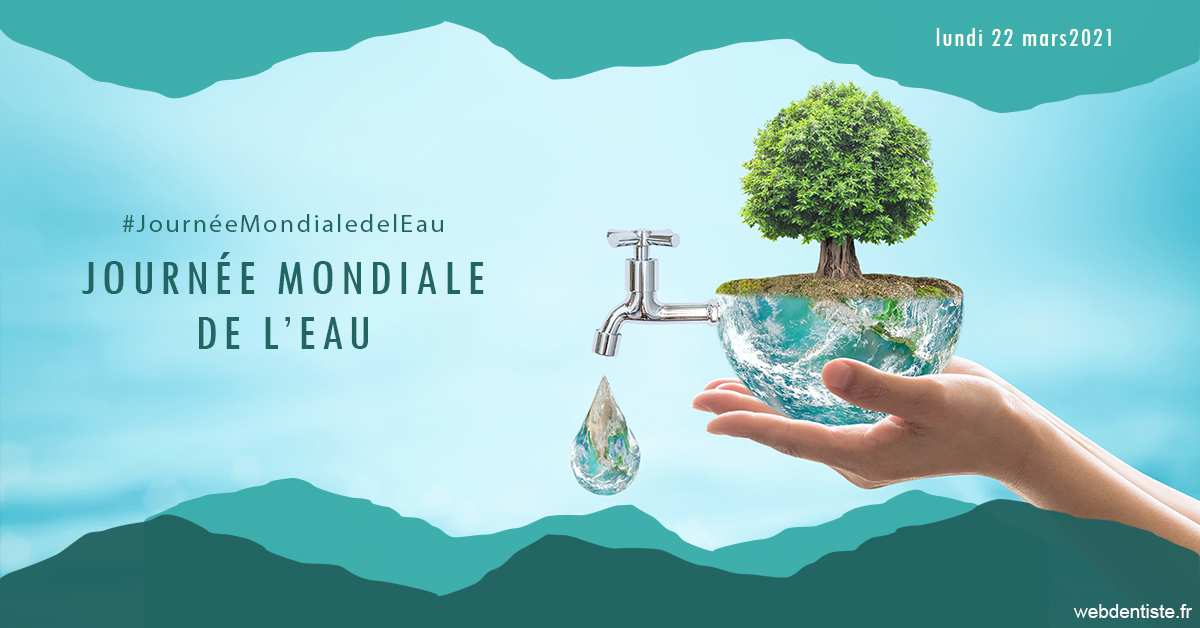 https://www.dentistes-saint-jean-centre.com/Journée de l'eau 1