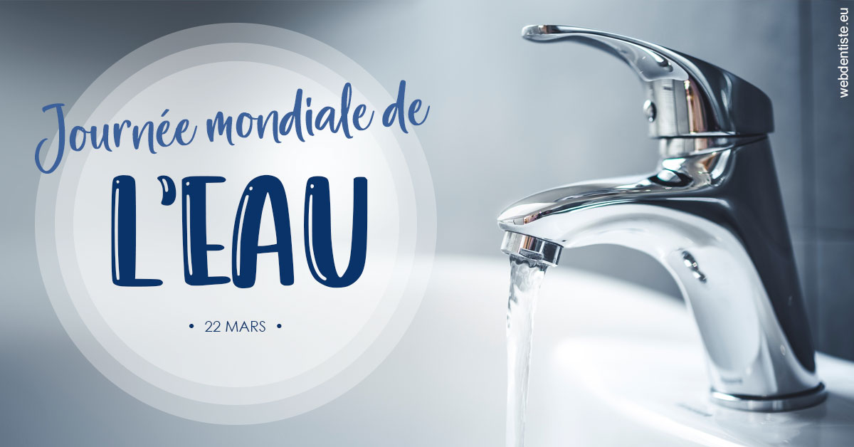 https://www.dentistes-saint-jean-centre.com/La journée de l'eau 2