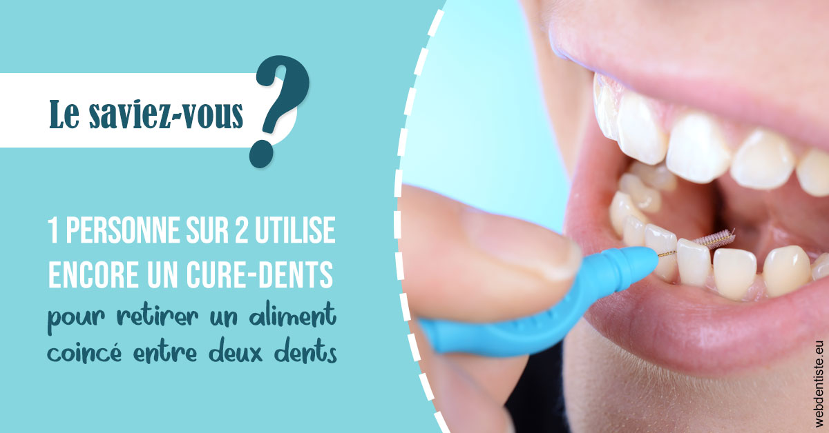 https://www.dentistes-saint-jean-centre.com/Cure-dents 1