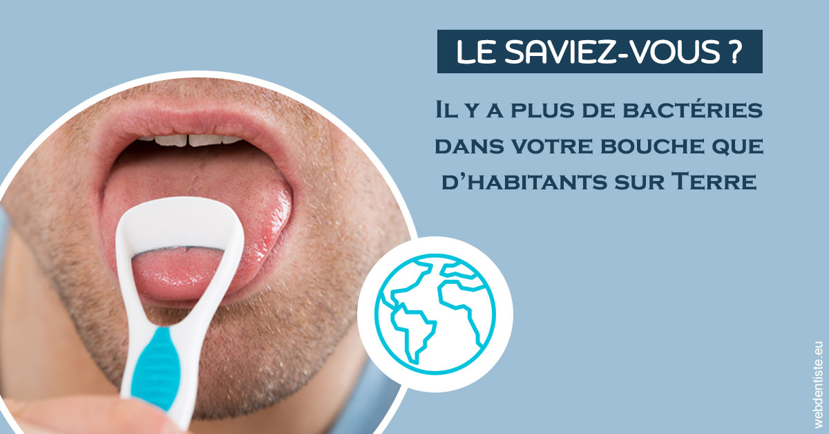 https://www.dentistes-saint-jean-centre.com/Bactéries dans votre bouche 2