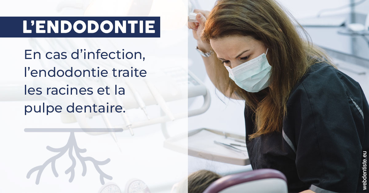 https://www.dentistes-saint-jean-centre.com/L'endodontie 1