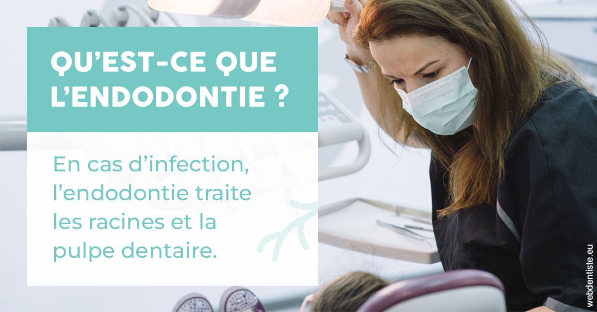 https://www.dentistes-saint-jean-centre.com/2024 T1 - Endodontie 01